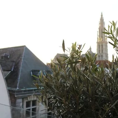 Daire The View *